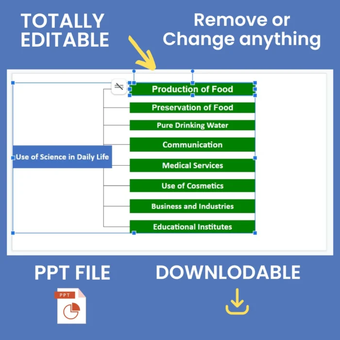 B.Ed - Individual Seminar Presentation - Image 2