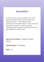 Identifying one/ two pupils with special needs in the primary schools and preparing a profile of these pupils - Image 3