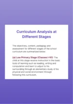 Analysis of School Curriculum at different stages - Image 3