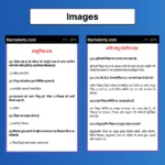 Uttar Pradesh DELED 2nd Semester Solved Question Papers eBook - Image 11